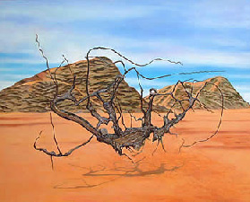 Desert root